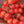 Tomato - Sweetie