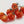 Tomato - Sweetie