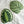 Tufted Calathea Medallion Leaf Pillow