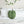 Tufted Calathea Orbifolia Leaf Pillow