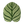 Tufted Calathea Orbifolia Leaf Pillow