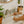 Bamboo Toothbrush