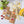 Beeswax Wraps – Plastic-Free Food Storage