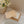 Cellulose Kitchen Sponges