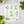 Swedish Dish Cloth