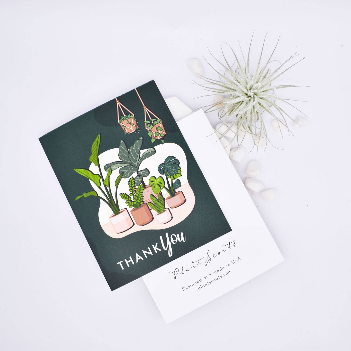 Thank you Greetings Cards