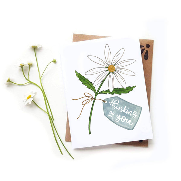 Thinking of You Daisy Cards