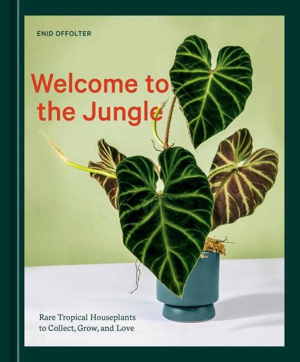 Welcome to the Jungle: Rare Tropical Houseplants