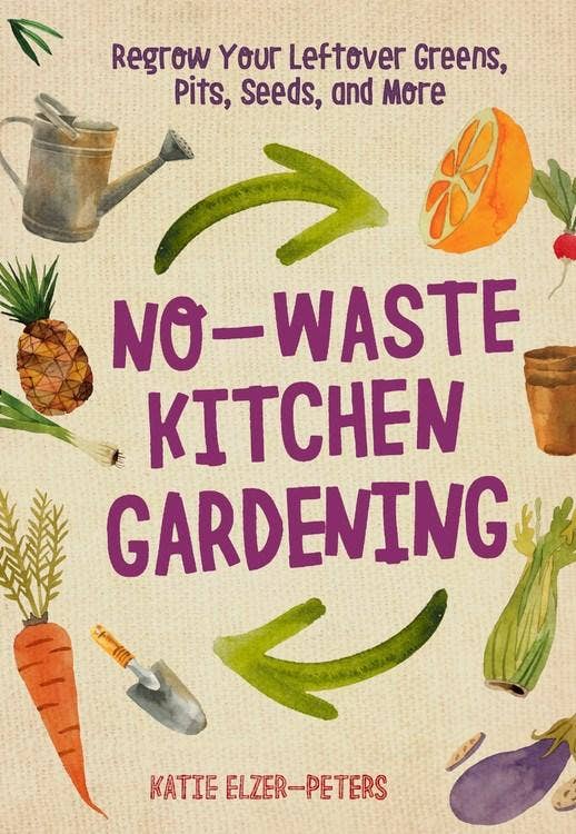 No-Waste Kitchen Gardening: Regrow Your Leftover Greens