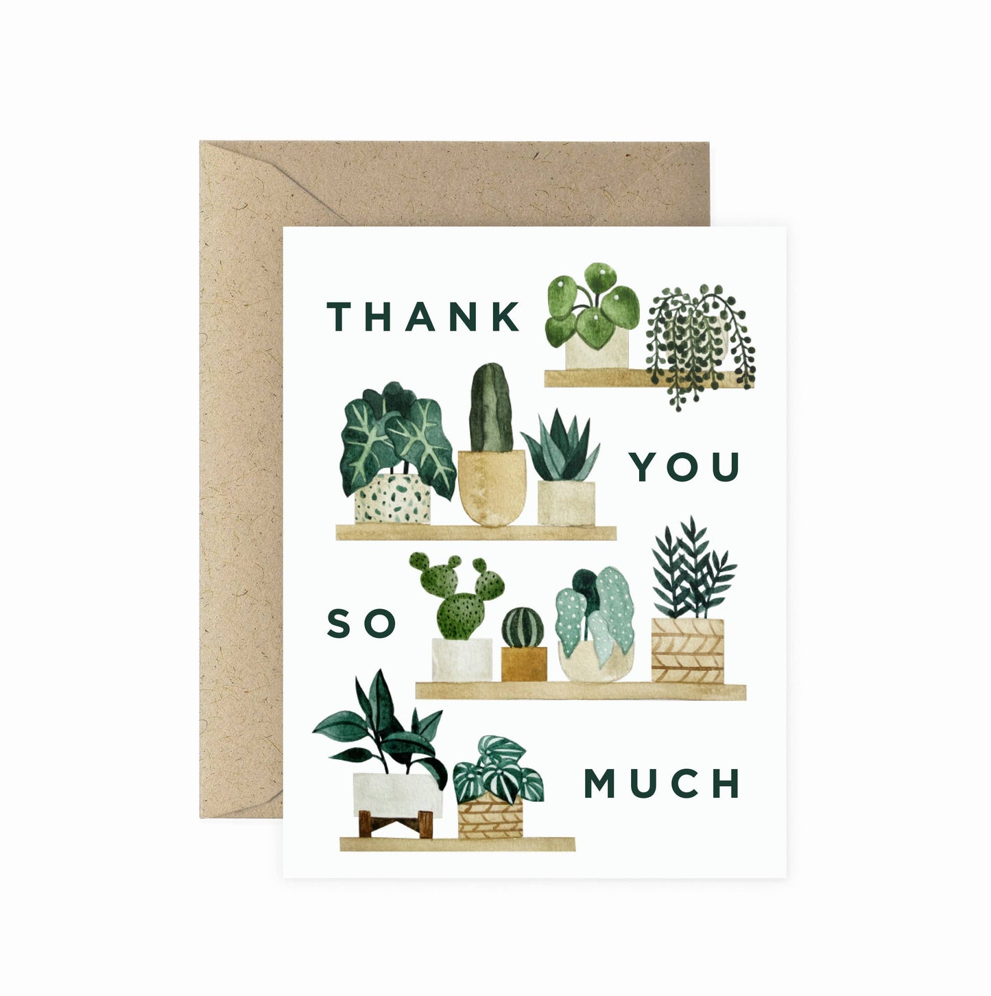 Thank You Plant Shelf Greeting Cards