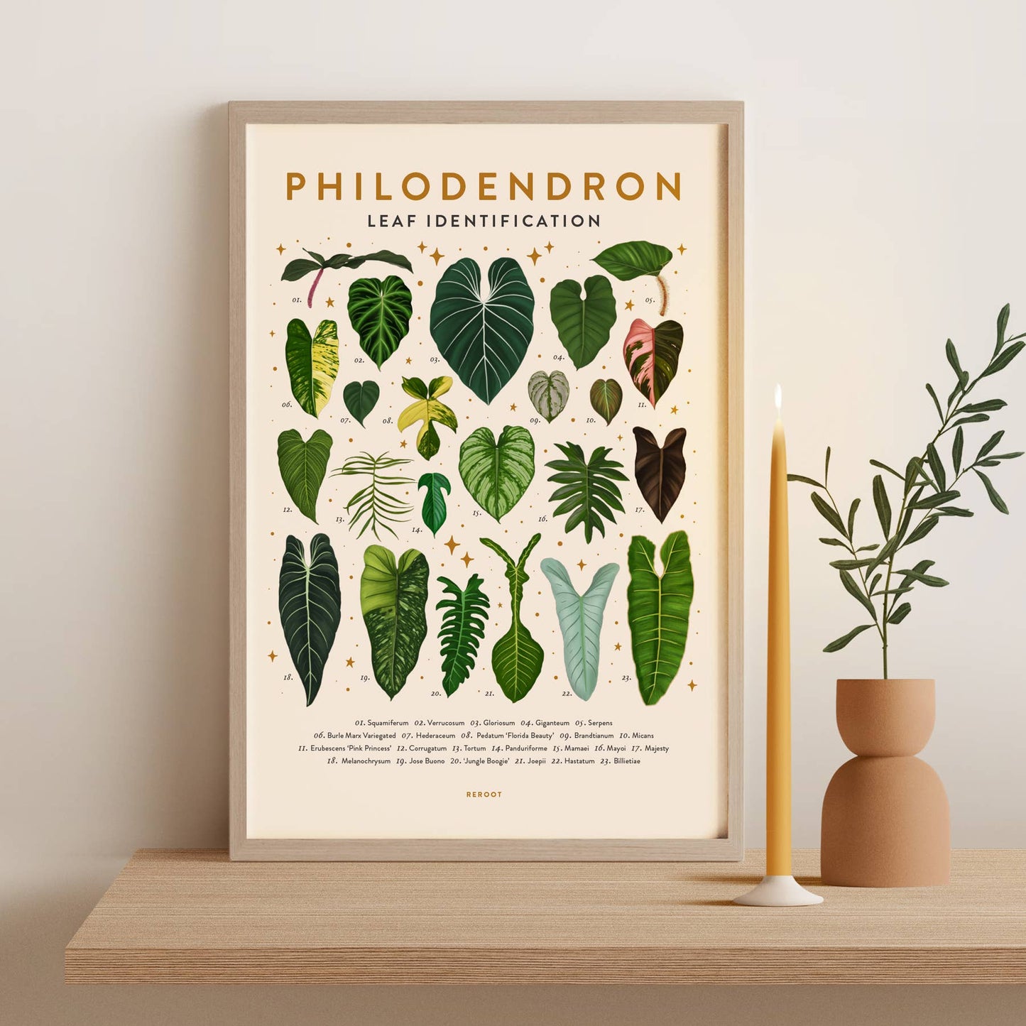 Philodendron Plant Poster