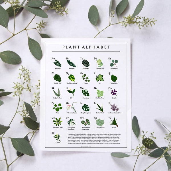 The Plant Alphabet Poster